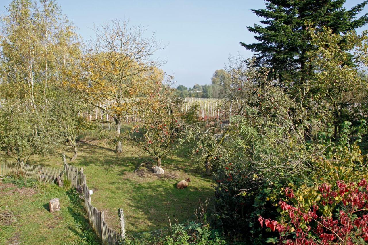 Hof Van Loverrijk Bed and Breakfast Lier Eksteriør billede