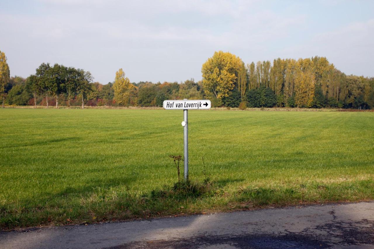 Hof Van Loverrijk Bed and Breakfast Lier Eksteriør billede